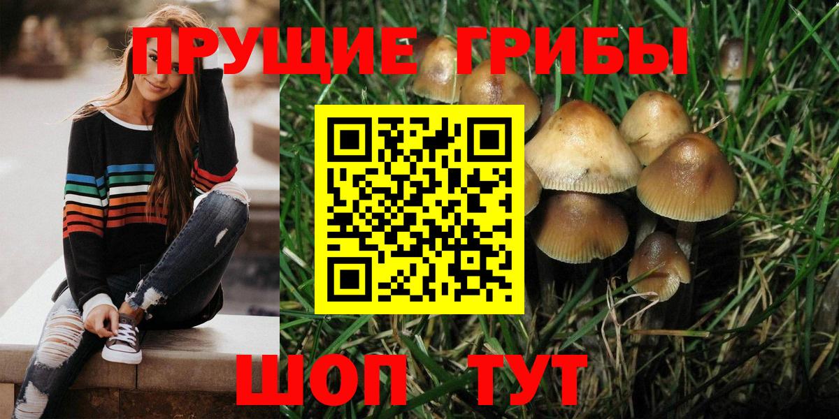 Псилоцибиновые грибы ЛСД  Вход с VPN  Егорьевск 