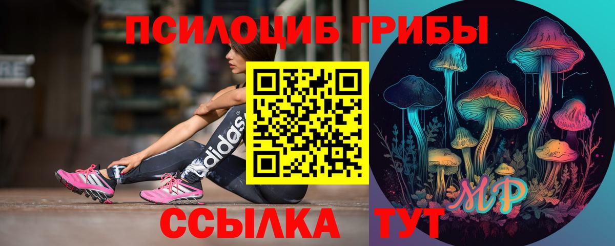 Галлюциногенные грибы Psilocybe Егорьевск